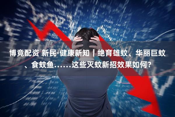 博竟配资 新民·健康新知｜绝育雄蚊、华丽巨蚊、食蚊鱼……这些灭蚊新招效果如何？