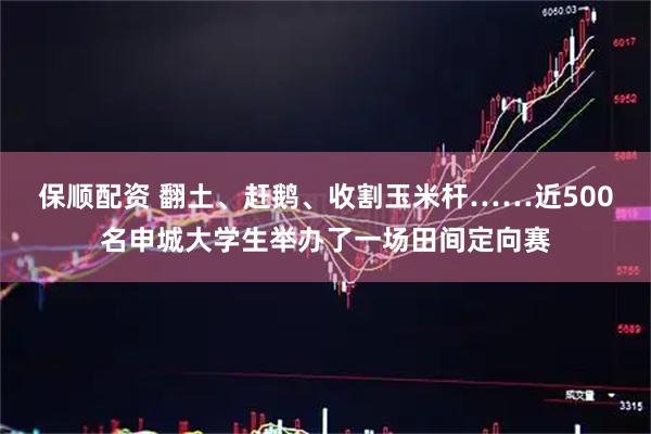 保顺配资 翻土、赶鹅、收割玉米杆……近500名申城大学生举办了一场田间定向赛