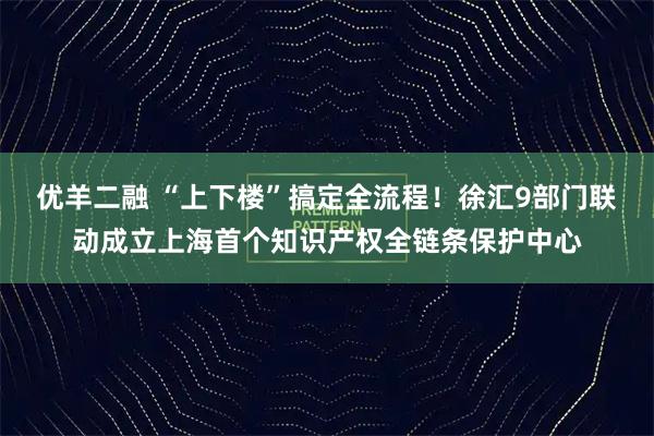 优羊二融 “上下楼”搞定全流程！徐汇9部门联动成立上海首个知识产权全链条保护中心