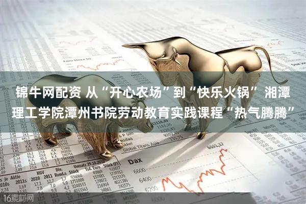 锦牛网配资 从“开心农场”到“快乐火锅” 湘潭理工学院潭州书院劳动教育实践课程“热气腾腾”