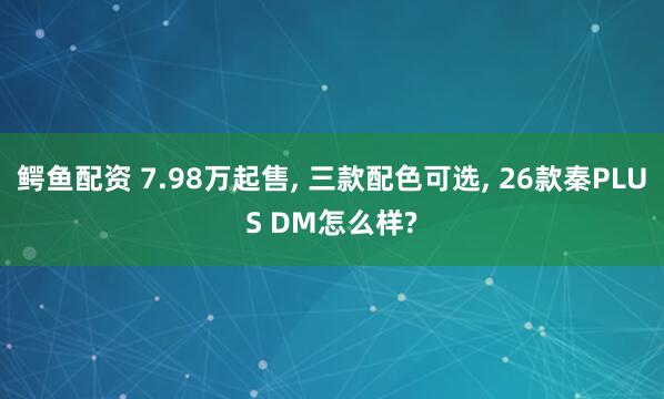 鳄鱼配资 7.98万起售, 三款配色可选, 26款秦PLUS DM怎么样?