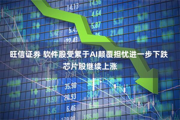 旺信证券 软件股受累于AI颠覆担忧进一步下跌 芯片股继续上涨